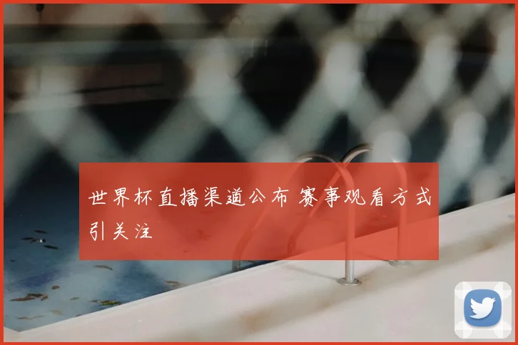 世界杯直播渠道公布 赛事观看方式引关注