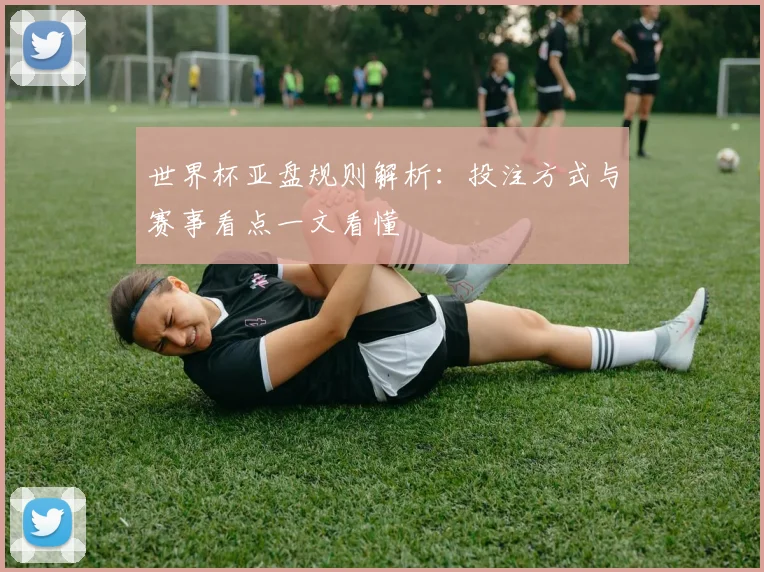 世界杯亚盘规则解析：投注方式与赛事看点一文看懂